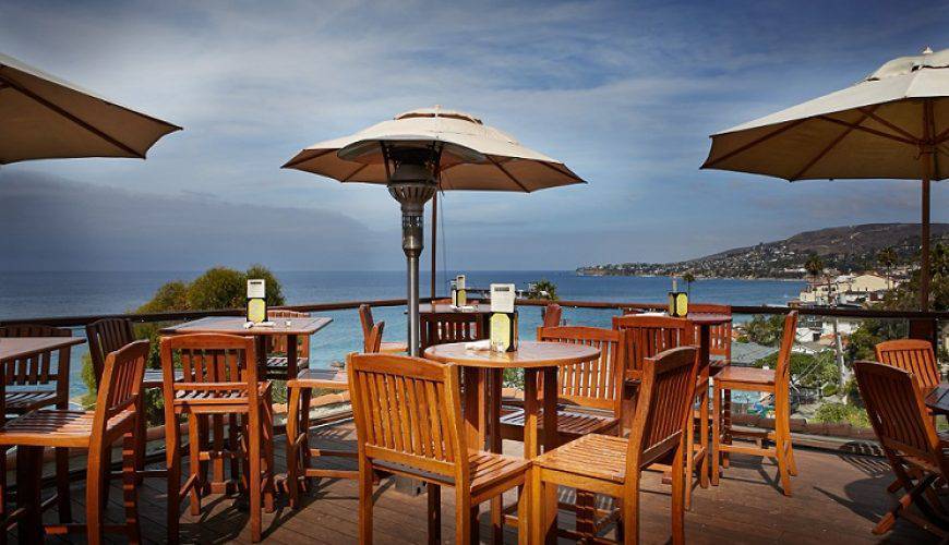 گشت و گذار میان لاله‌های واشنگتن (Tiptoe through the Tulips of Washington)